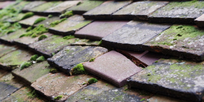 Compton roof repair costs
